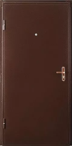Металлическая дверь ПРОФИ IS 