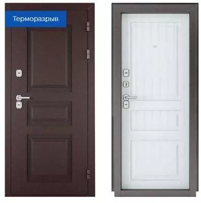 Металлическая дверь ВИНТЕР 100 999 3Ф Арктик
