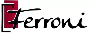 Ferroni Входные металлические двери
