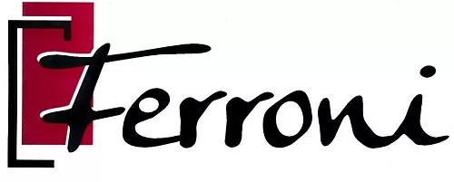 Ferroni Входные металлические двери